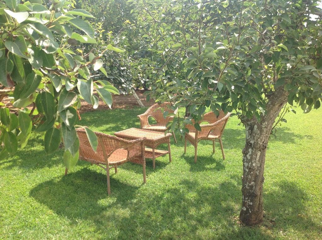 Agriturismo L'Agrumeto أوترانتو المظهر الخارجي الصورة